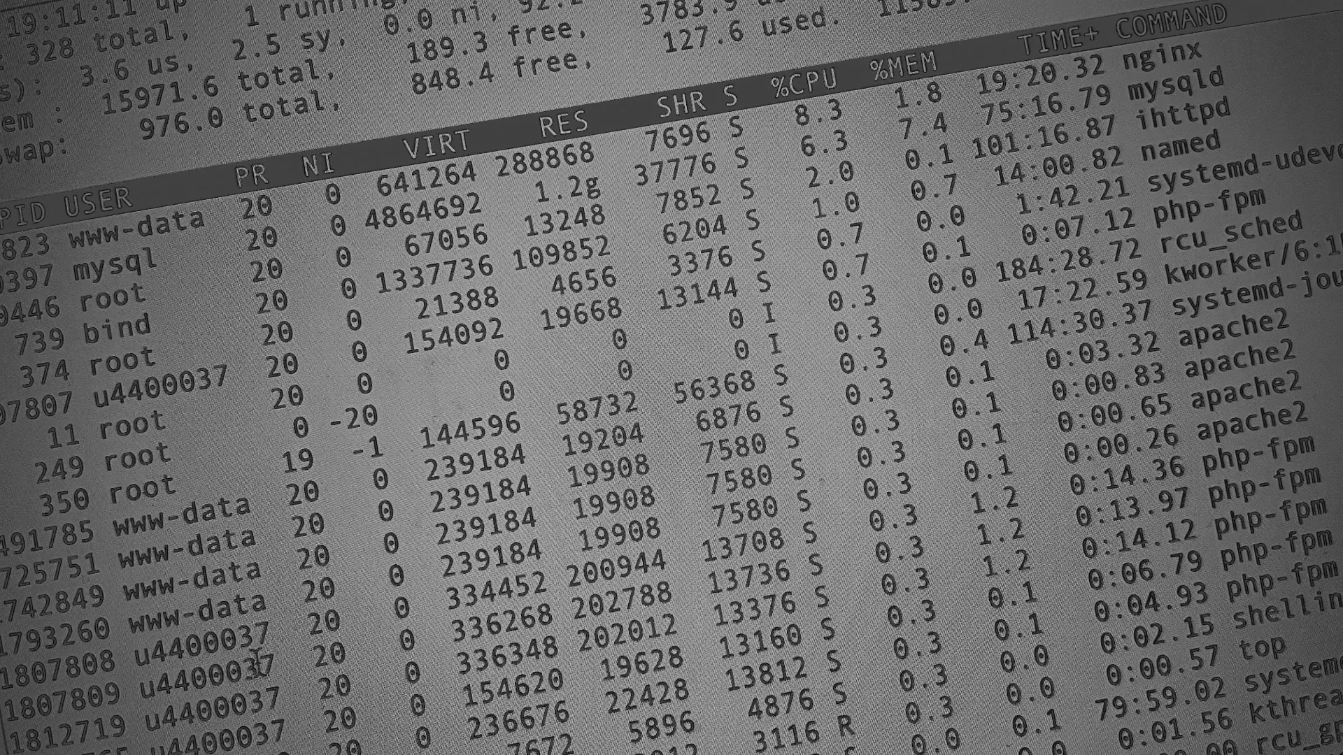 Настройка сервера в Сухом Логе