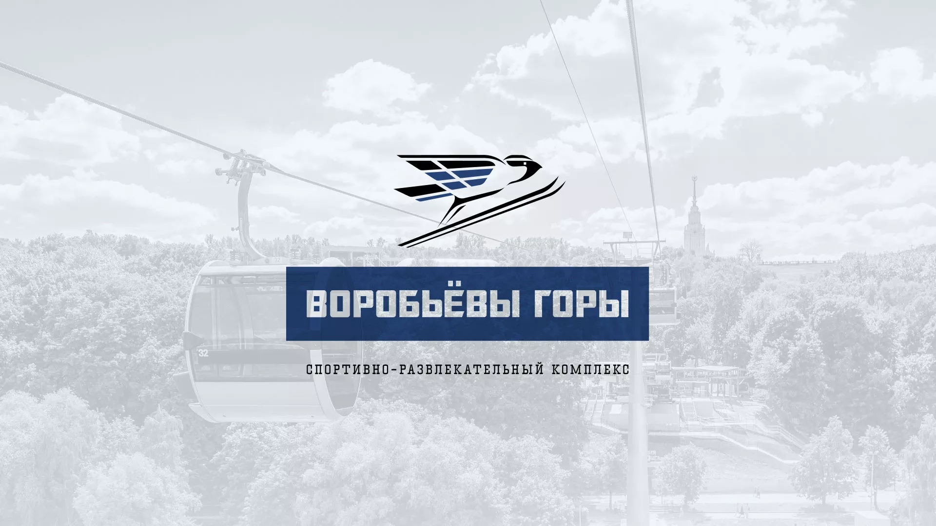 Разработка сайта в Сухом Логе для спортивно-развлекательного комплекса «Воробьёвы горы»
