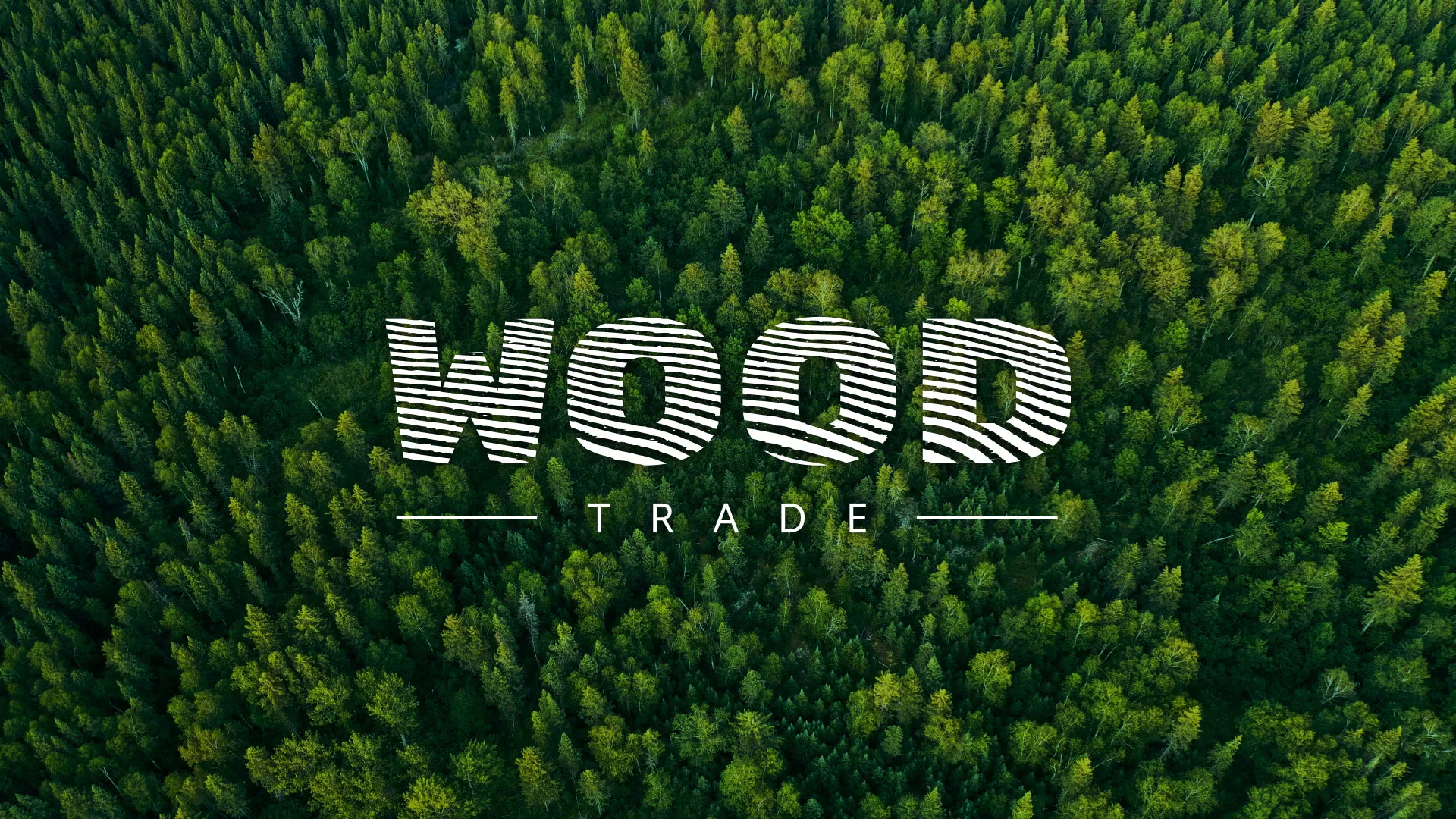 Разработка интернет-магазина компании «Wood Trade» в Сухом Логе